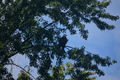 album/100420252/DSC_0677.JPG