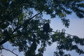 album/100420252/DSC_0694.JPG