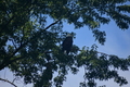 album/100420252/DSC_0699.JPG