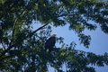 album/100420252/DSC_0721.JPG