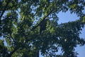 album/100420252/DSC_0739.JPG