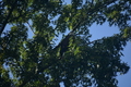 album/100420252/DSC_0744.JPG