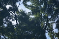 album/100420252/DSC_0754.JPG