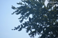 album/100420252/DSC_0761.JPG