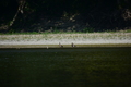 album/100420252/DSC_0787.JPG