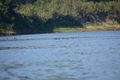album/100420252/DSC_0792.JPG
