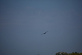 album/100420252/DSC_0793.JPG