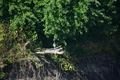 album/100420252/DSC_0801.JPG