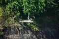 album/100420252/DSC_0808.JPG