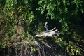 album/100420252/DSC_0826.JPG