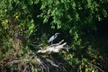 album/100420252/DSC_0836.JPG