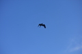 album/100420252/DSC_0839.JPG