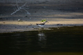 album/100420252/DSC_0846.JPG
