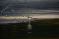 album/100420252/DSC_0847.JPG