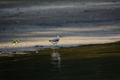 album/100420252/DSC_0852.JPG