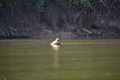 album/100420252/DSC_0881.JPG