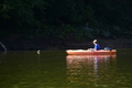 album/100420252/DSC_0887.JPG