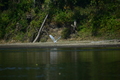 album/100420252/DSC_0888.JPG