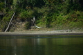 album/100420252/DSC_0891.JPG