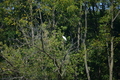 album/100420252/DSC_0893.JPG