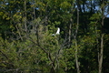 album/100420252/DSC_0901.JPG