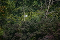 album/100420252/DSC_0902.JPG