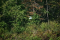 album/100420252/DSC_0904.JPG