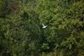 album/100420252/DSC_0906.JPG