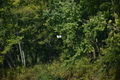 album/100420252/DSC_0909.JPG