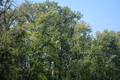 album/100420252/DSC_0914.JPG