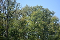 album/100420252/DSC_0915.JPG