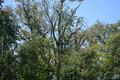 album/100420252/DSC_0916.JPG