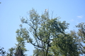 album/100420252/DSC_0919.JPG