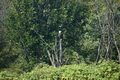 album/100420252/DSC_0970.JPG