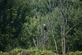 album/100420252/DSC_0978.JPG