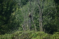 album/100420252/DSC_0984.JPG