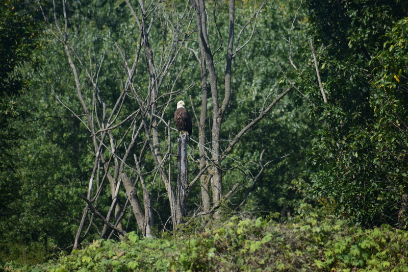 album/100420252/images/DSC_0001.JPG