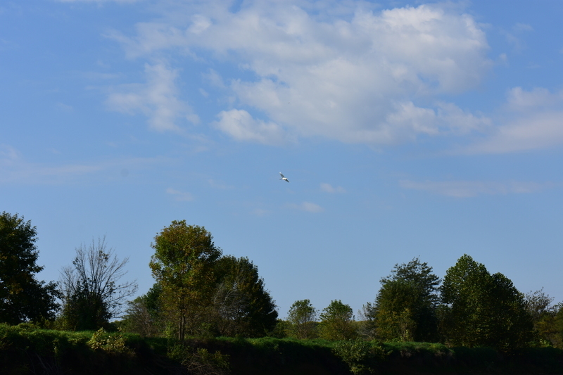 album/100420252/images/DSC_0639.JPG