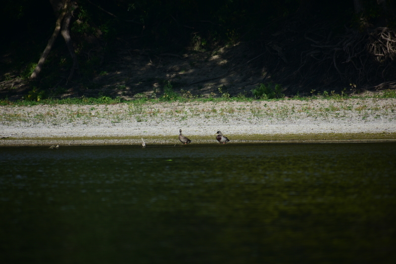 album/100420252/images/DSC_0787.JPG