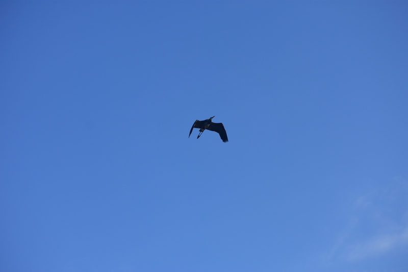 album/100420252/images/DSC_0839.JPG