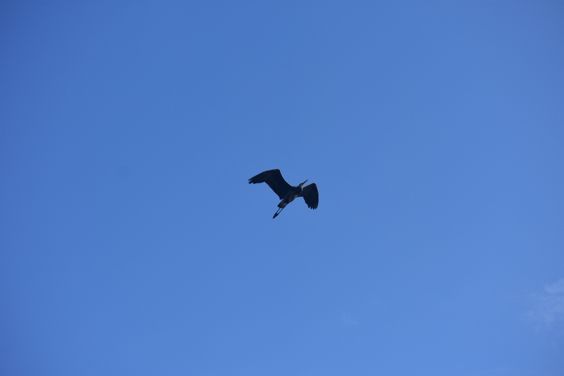 album/100420252/images/DSC_0840.JPG