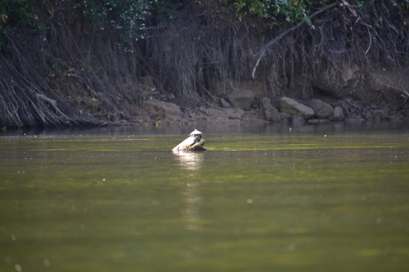 album/100420252/images/DSC_0881.JPG