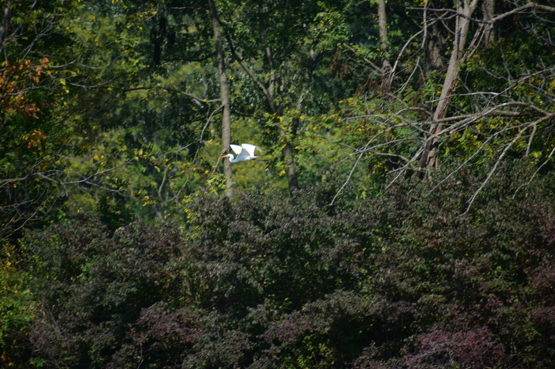 album/100420252/images/DSC_0902.JPG