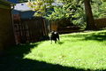 album/100420262/DSC_0008.JPG