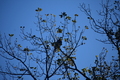 album/10062026/DSC_0055.JPG