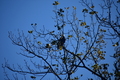 album/10062026/DSC_0067.JPG