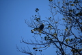 album/10062026/DSC_0092.JPG