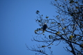 album/10062026/DSC_0100.JPG