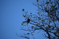 album/10062026/DSC_0101.JPG