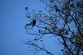 album/10062026/DSC_0104.JPG